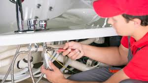 Best Residential Plumbing Services  in Saddlebrooke, AZ